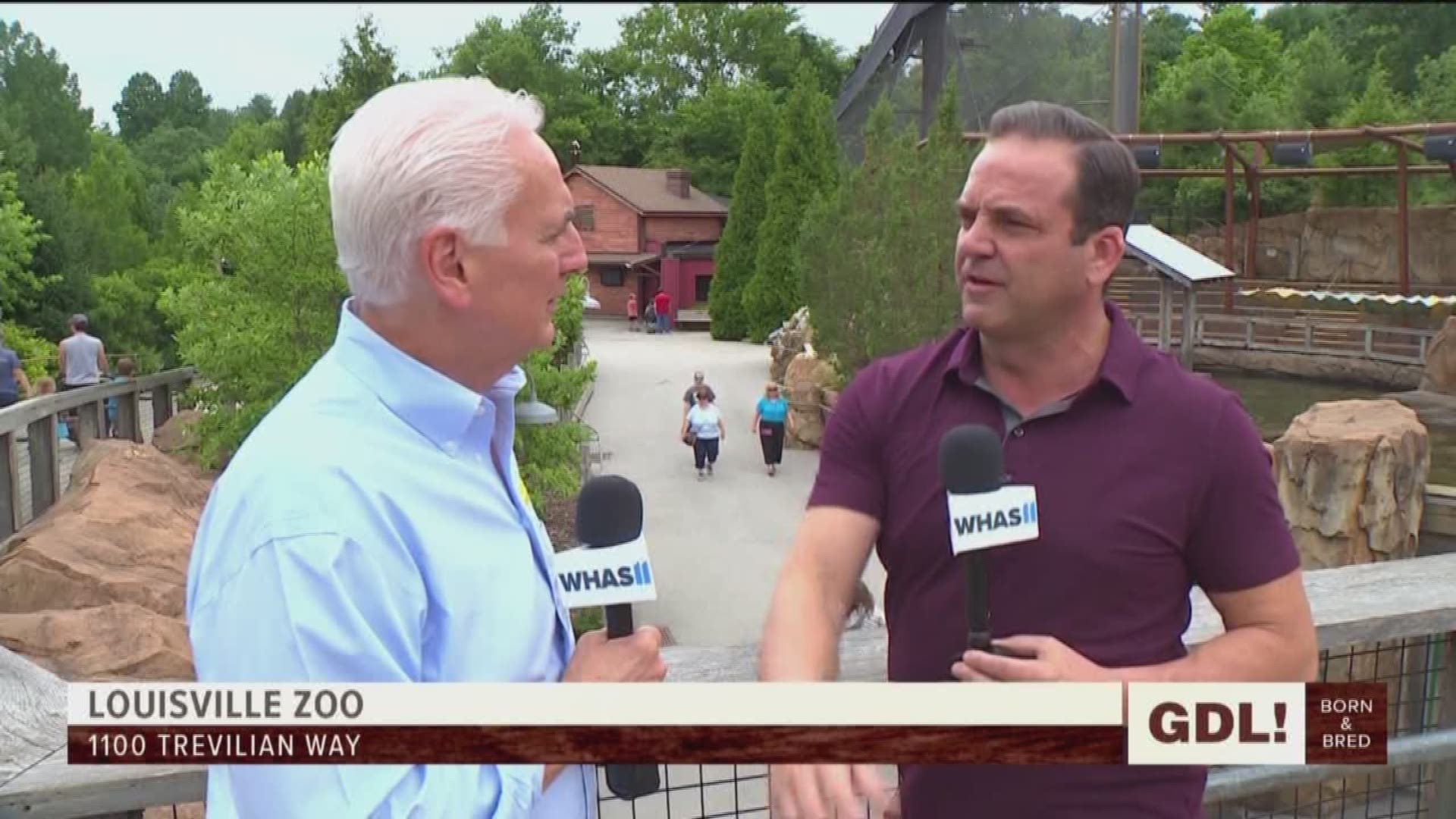 We're celebrating the Louisville Zoo's history and evolution with director John Walzak, who shares some of their greatest watershed moments.