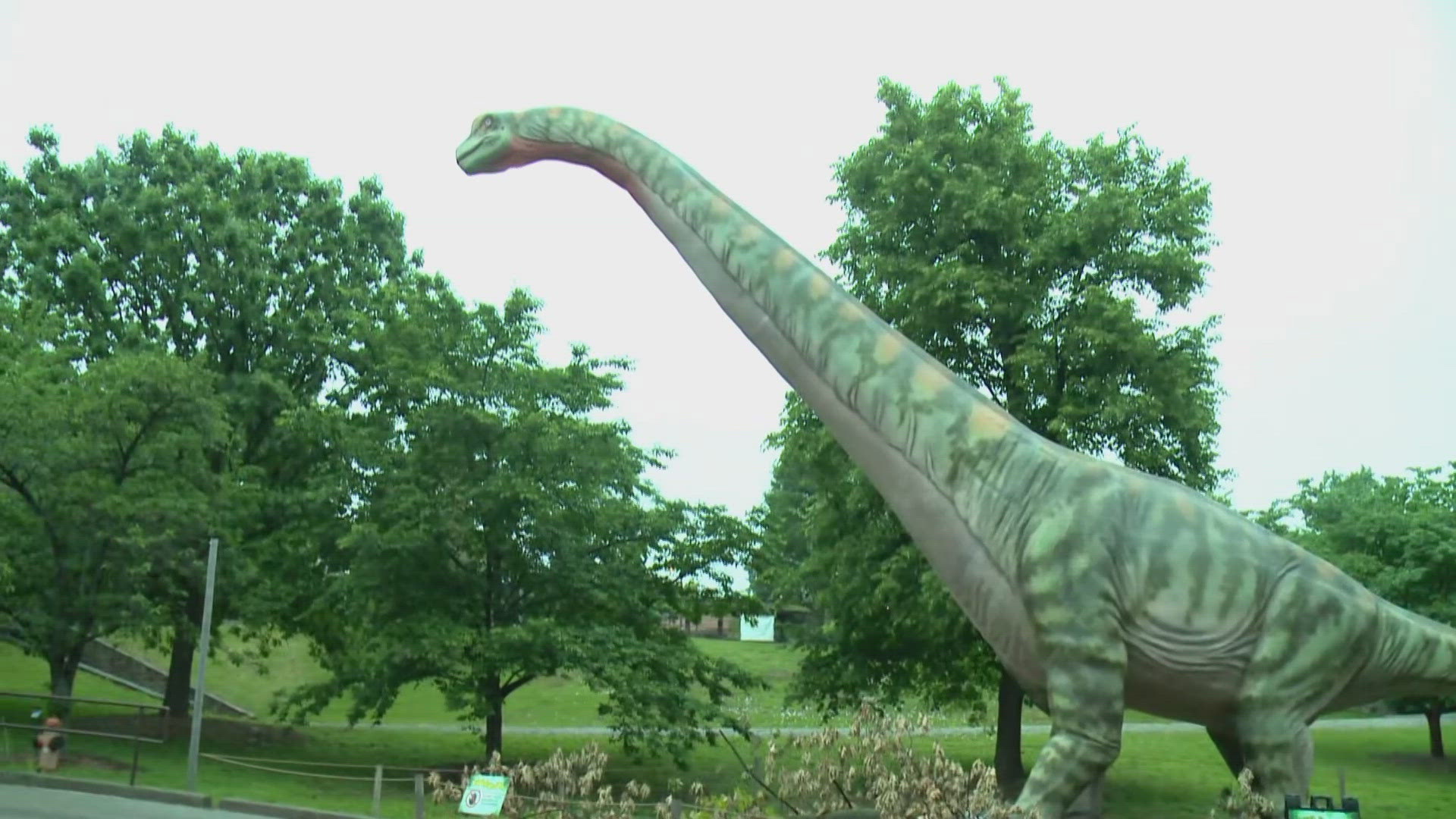 Dinopalooza runs through Sept. 1 and is free with admission or a Louisville Zoo membership.
