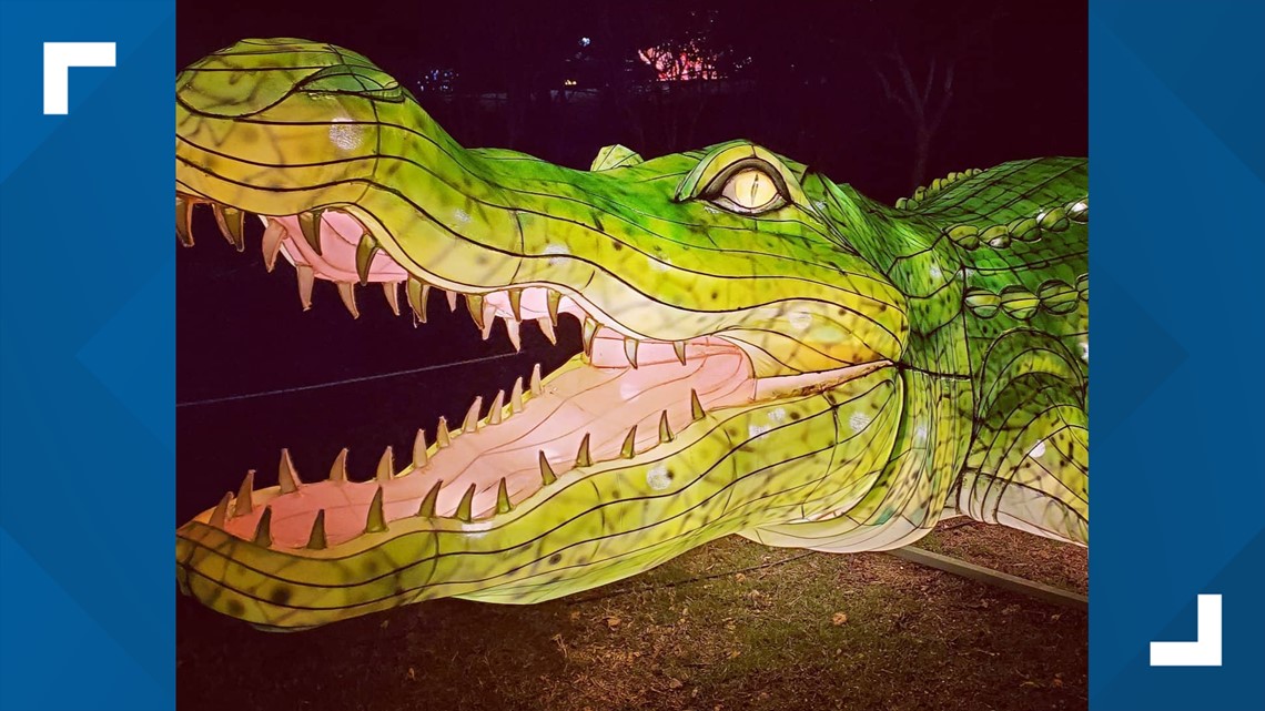 Wild Lights At The Louisville Zoo Literacy Basics