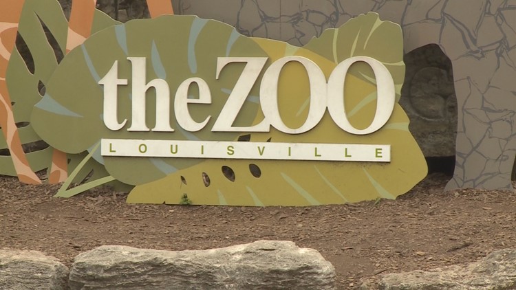 Louisville Zoo Is Pokemon Go Hotspot Whas11 Com