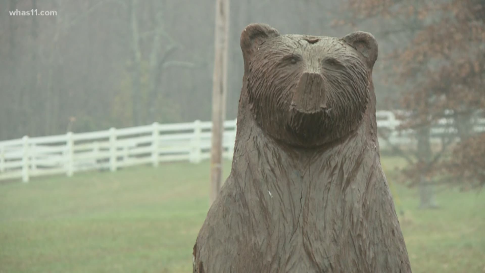 The bear was hit on I-64. Fish and Wildlife is now searching for the bear.