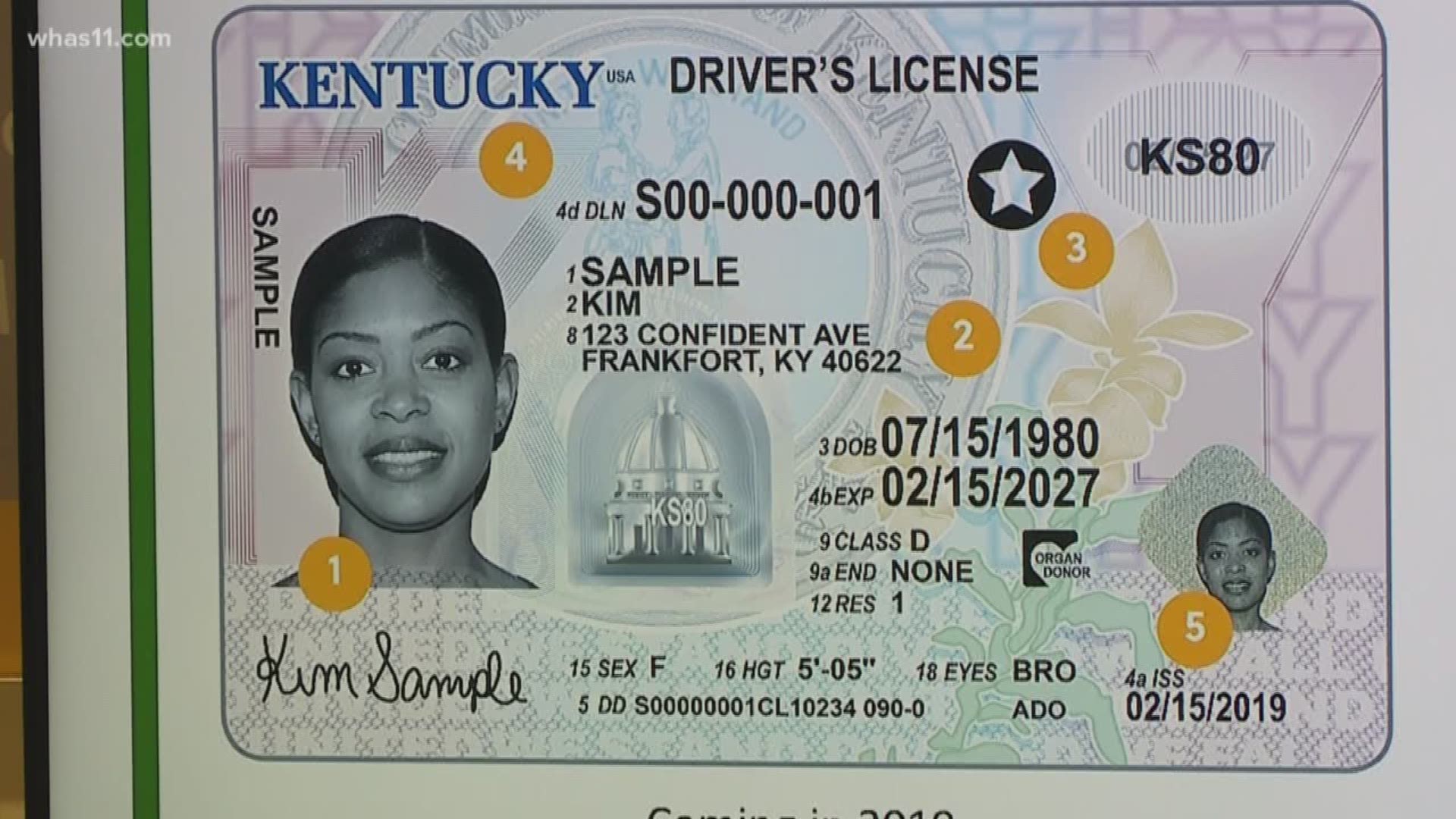 It's our first look at Kentucky's new driver's license expected to roll out at in 2019.