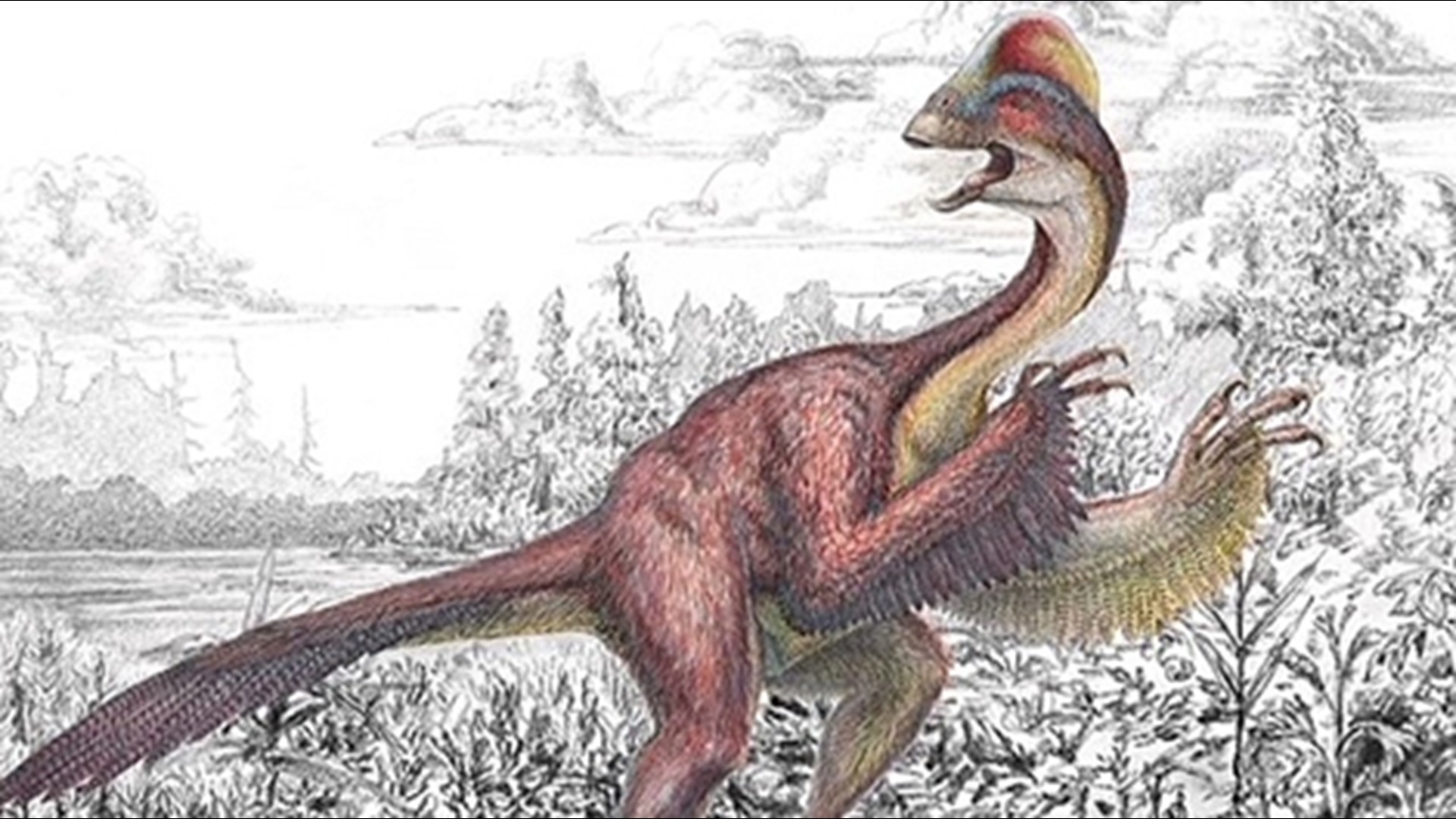 bbc earth chicken dinosaur