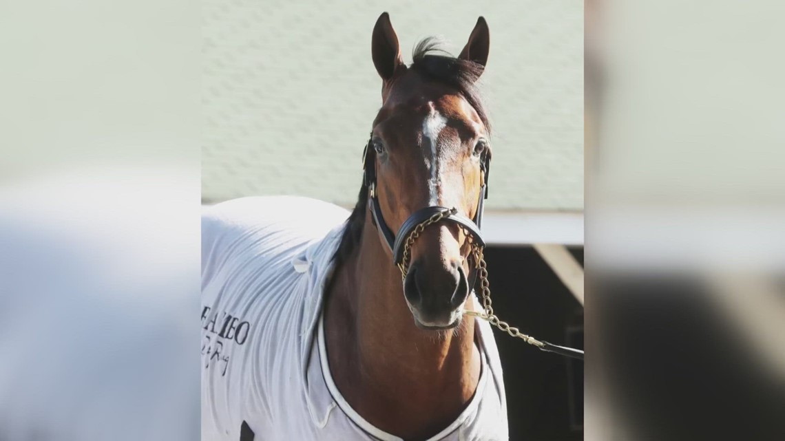 Fourth horse scratched from Kentucky Derby; field of 19 to run