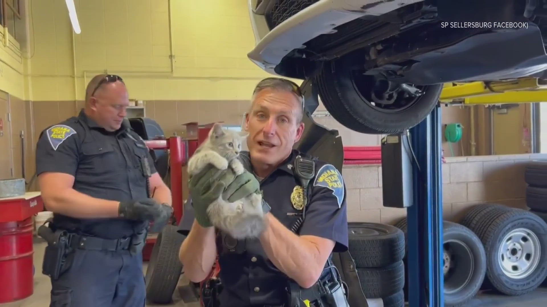 First responders noticed there was meowing coming from underneath the hood of a patrol vehicle.