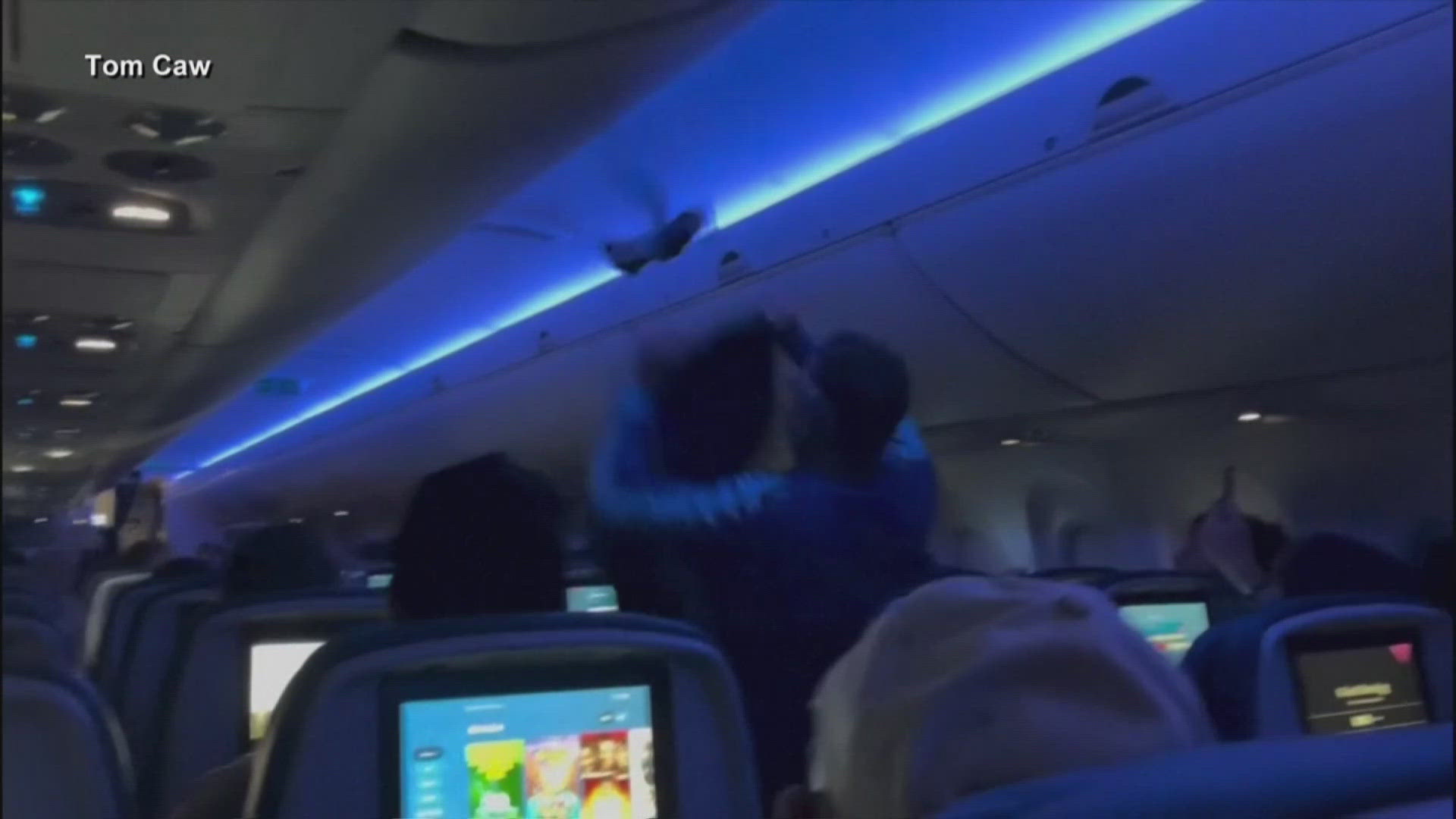 Air Traffic Control called off takeoff saying, "There's a pigeon on the airplane and it won't go away."