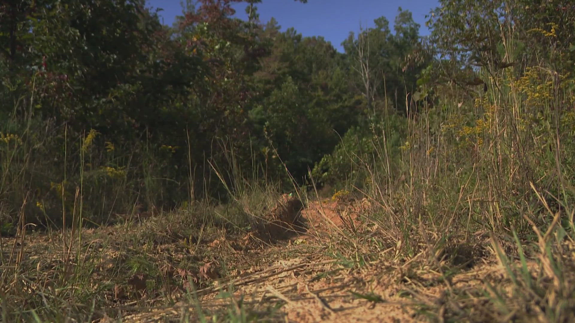 Law enforcement continue to look through Daniel Boone National Forest near London, Kentucky for I-75 shooting suspect Joseph Couch.