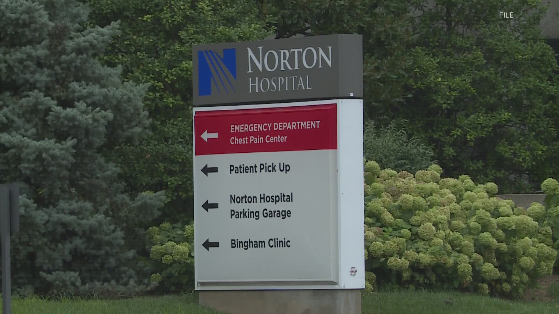 Friday marks one month since Norton Healthcare first announced it had been hit by a cyber attack and still, the company has limited access to many online tools.