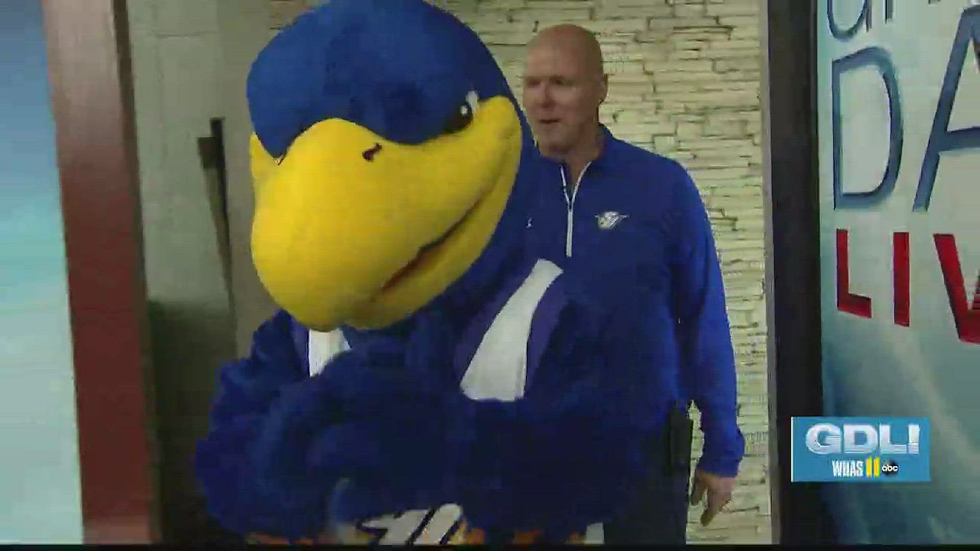 Spalding University has a new mascot and they need your help naming him.