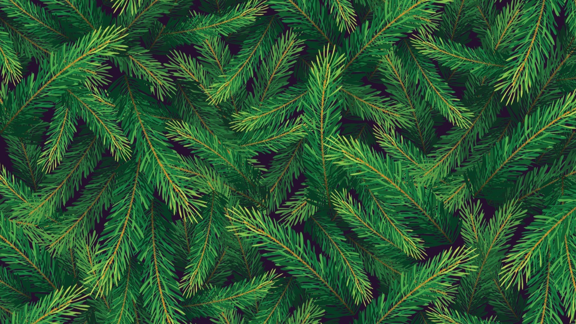 Louisville offers curbside pickup for Christmas tree disposal