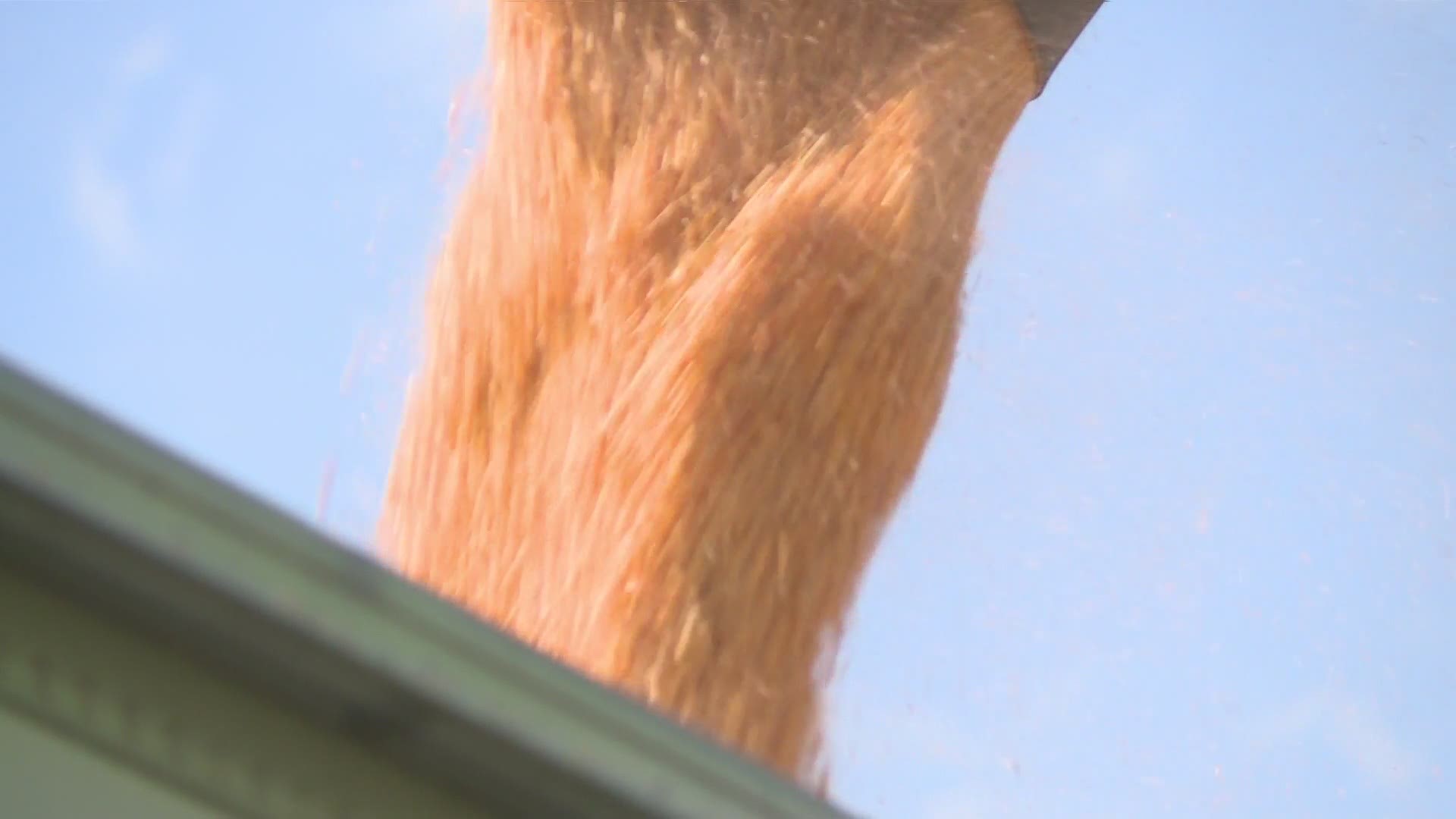 Chris Williams introduces you to a boy with hopes of following in his father's boots, but he also knows that harvest hazards put his family and yours at risk.