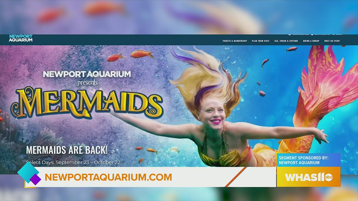 Mermaids are Back at the Newport Aquarium!