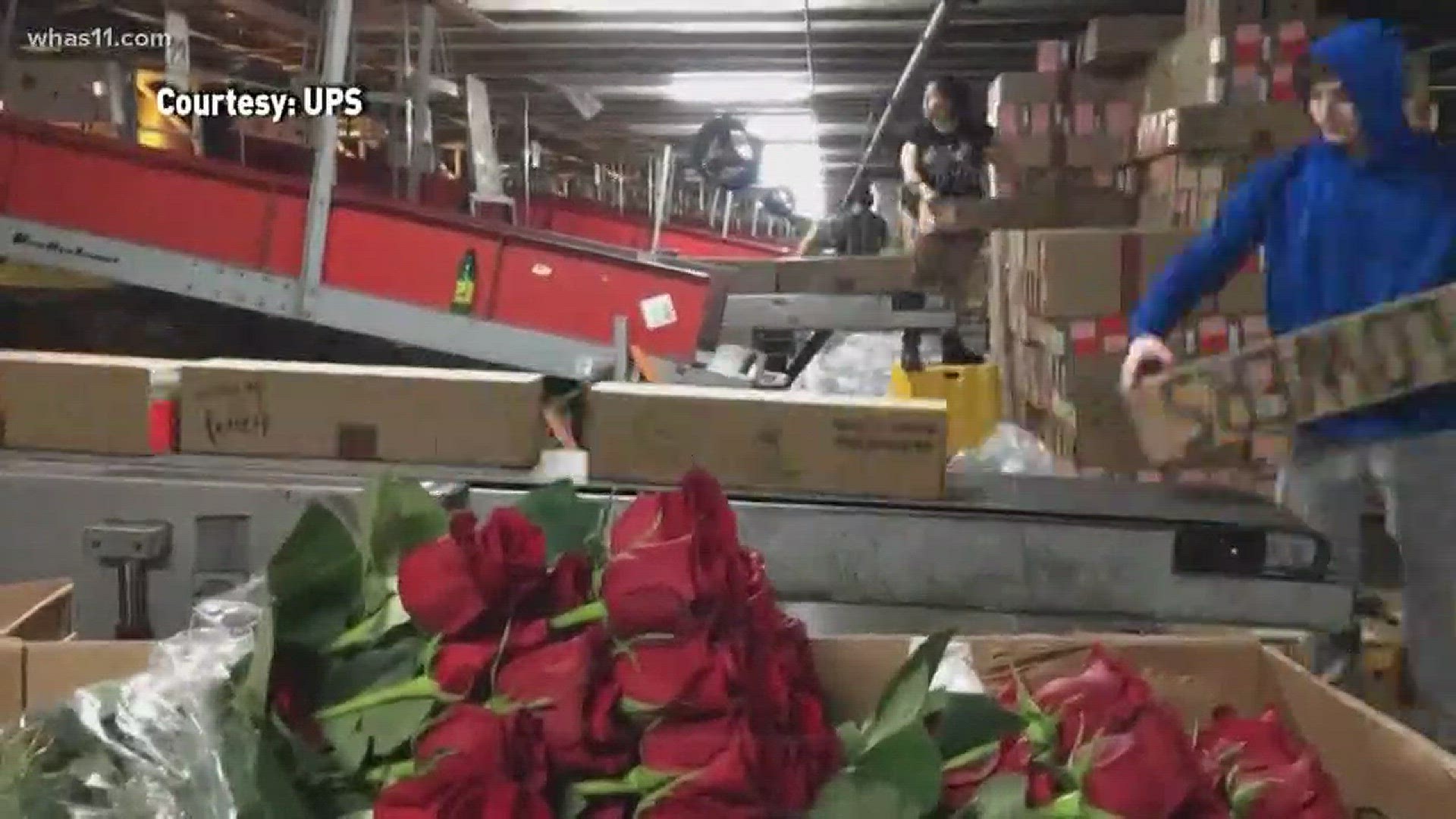 The season of love is also the busy season for UPS Worldport.