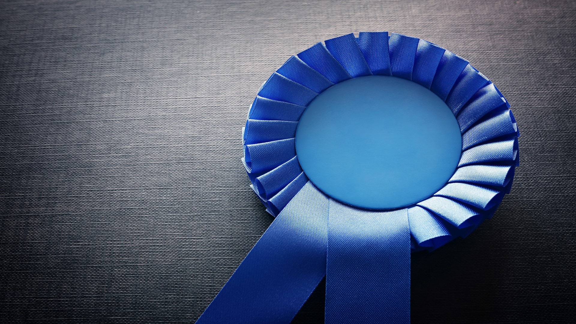 Kentucky State Fair wants 'blue ribbon winners' | whas11.com