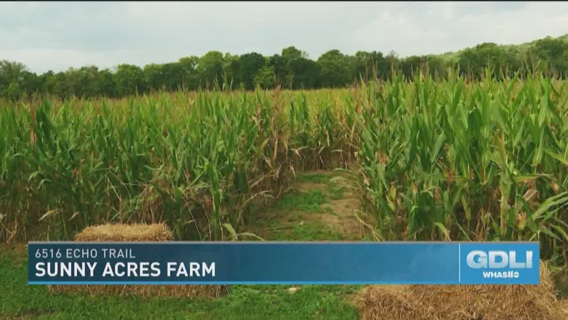 The family-friendly farm has hayrides, a corn maze and lots of animals that are children-friendly.