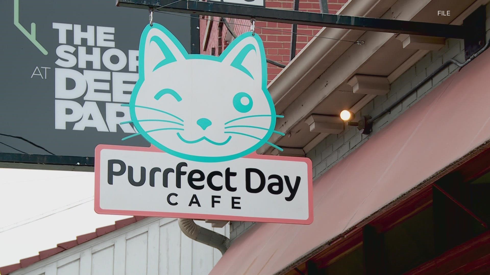 Purrfect Cat Café is a combo rescue cat facility and coffee shop that first opened in August of 2018.