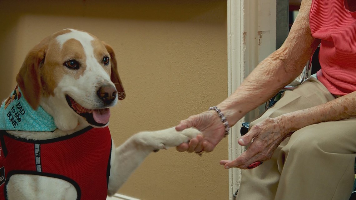 Therapy dog Tuesday tradition for Southern Indiana nursing home