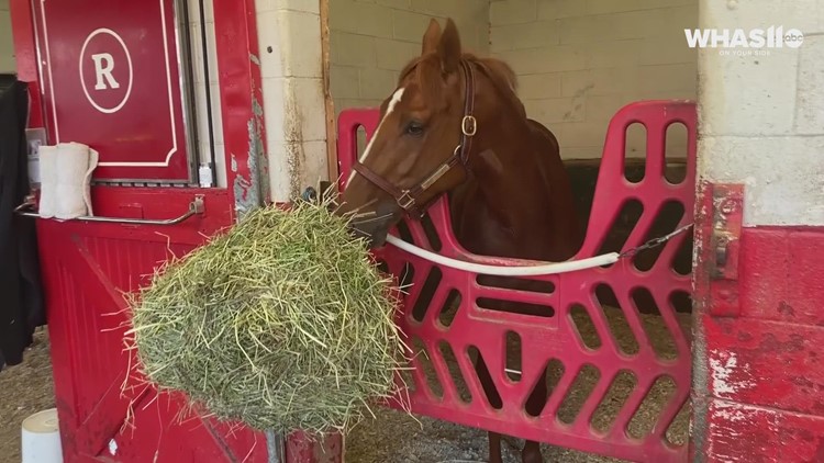 Kentucky Derby champion Rich Strike takes a quick bite, gives a hello