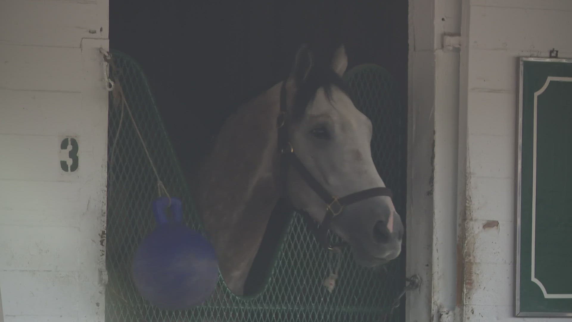 Rocket Can comes into Derby 149 10th in the point standings. Trainer Bill Mott hopes this three-year-old can help him complete his Kentucky Derby journey.