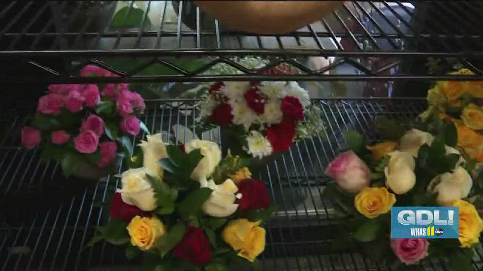 Oberer S Flowers Best Flower Site