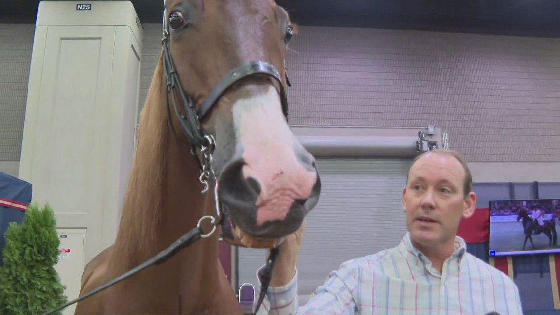 World's Championship Horse Show at the 2024 Kentucky State Fair