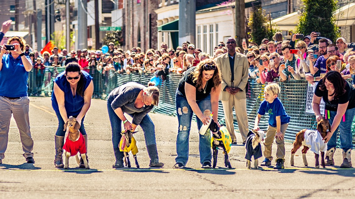 NULU Bock Fest is all about the goats