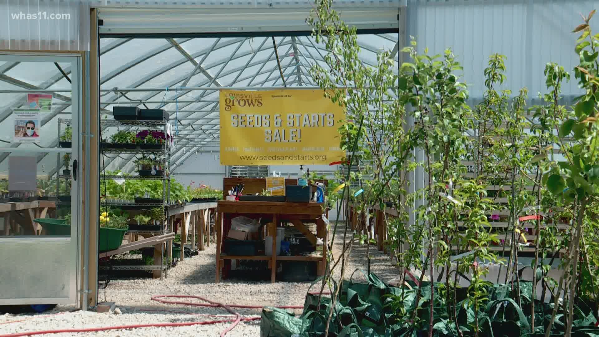 Louisville Grows greenhouse broken into twice in one week