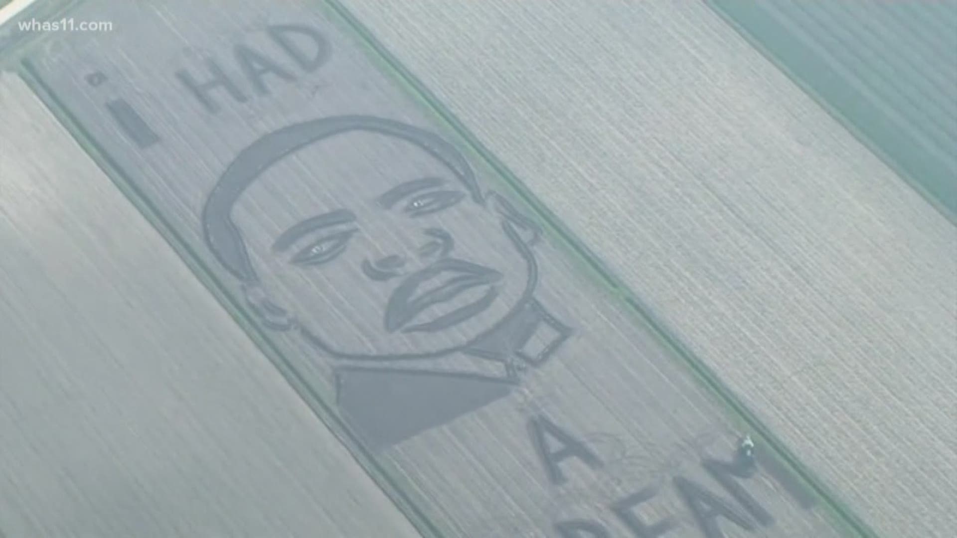 Land artist in Italy creates portrait of Martin Luther King, Jr.