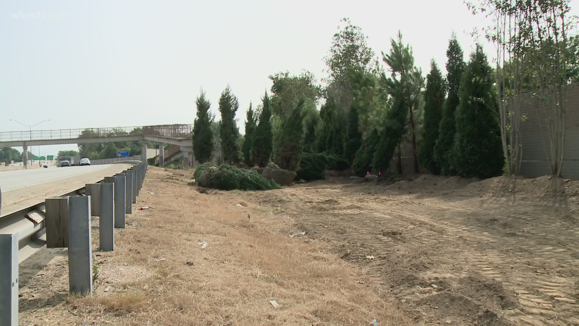 Hundreds of trees have taken root in south Louisville. The group plans to have more plantings on the way in early 2021.