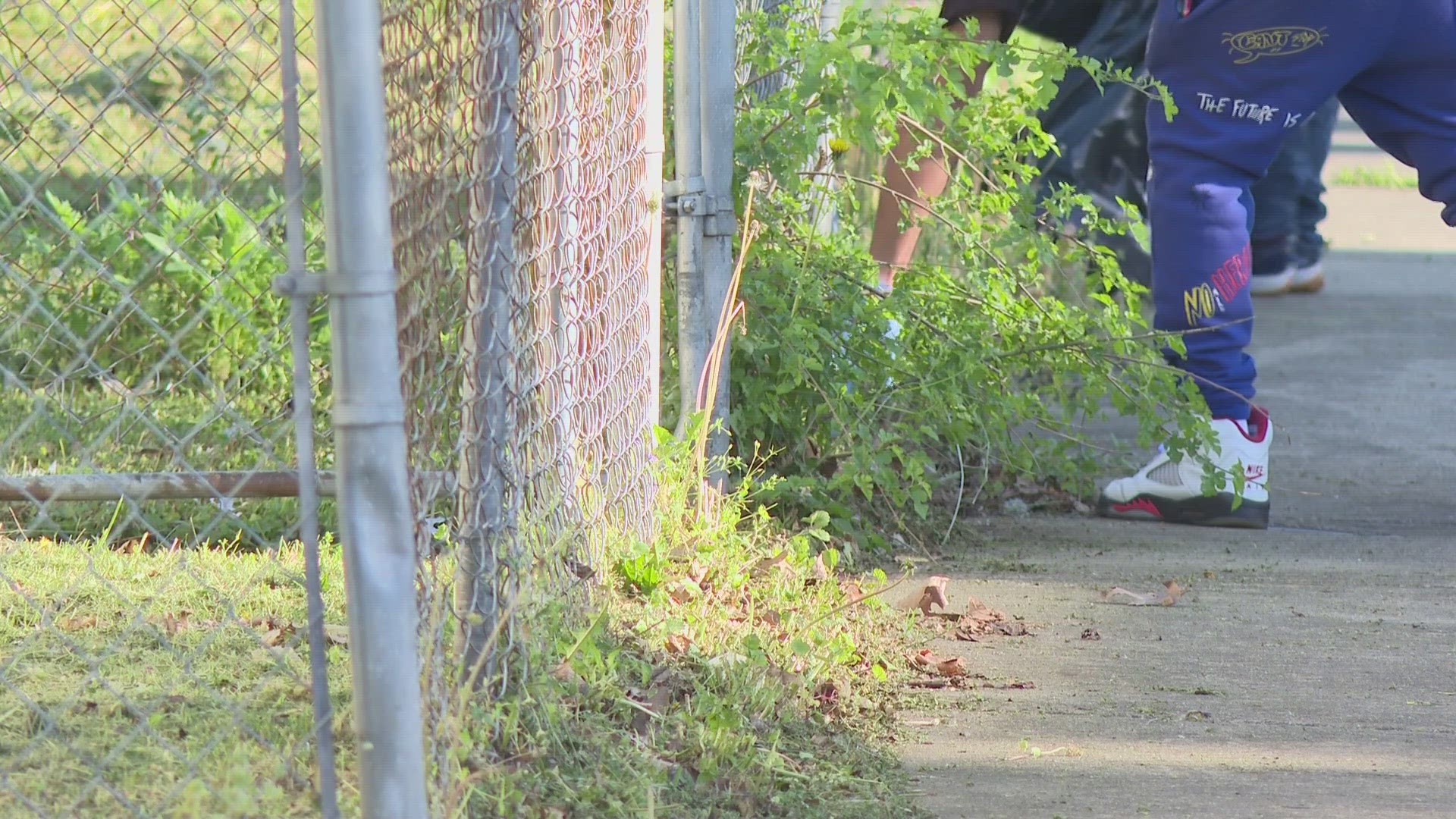 Louisville nonprofit organizes community cleanup in south Louisville