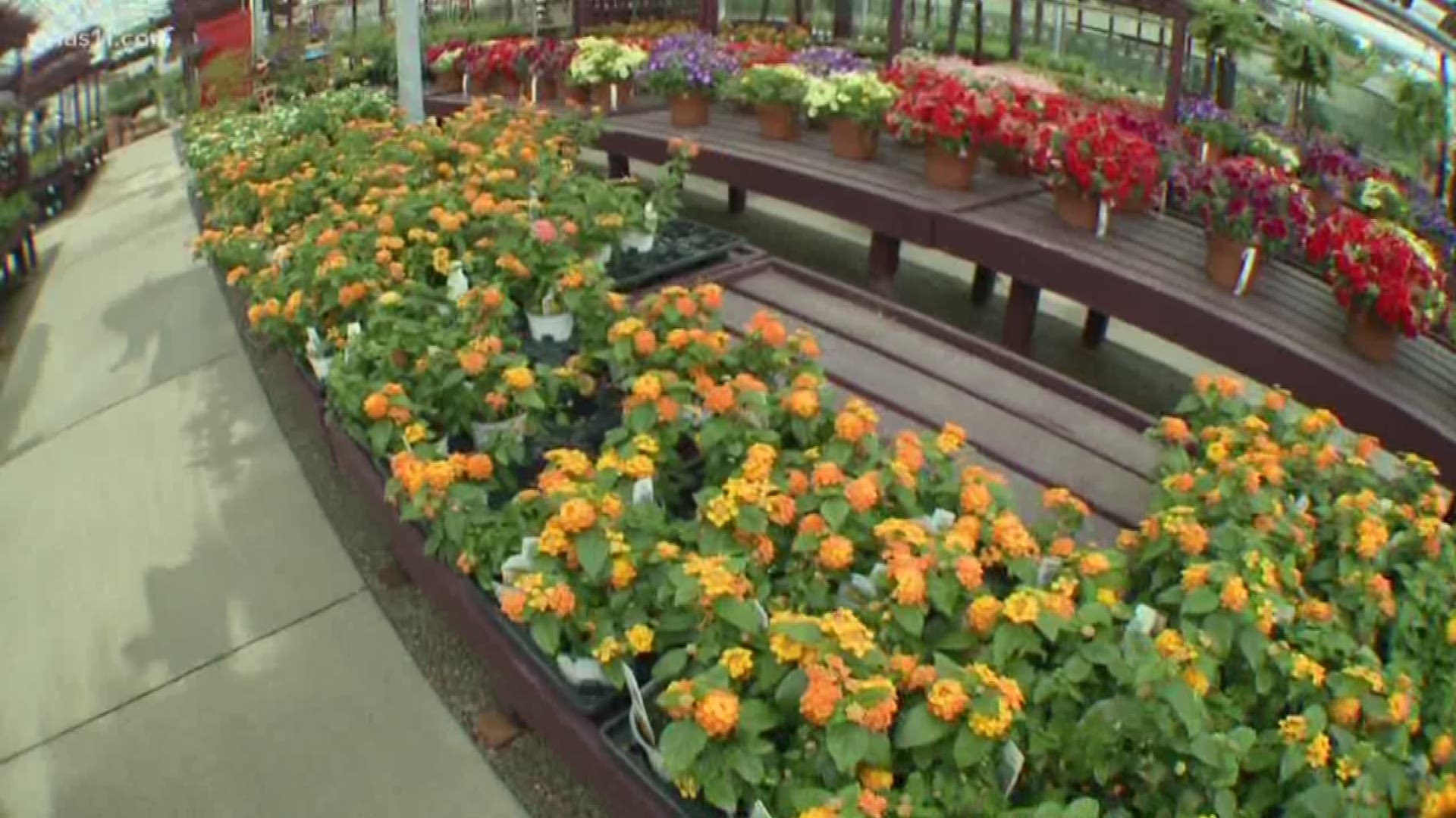 Ben Pine learns which plants are ideal for planting in the summer months with Jeff Wallitsch