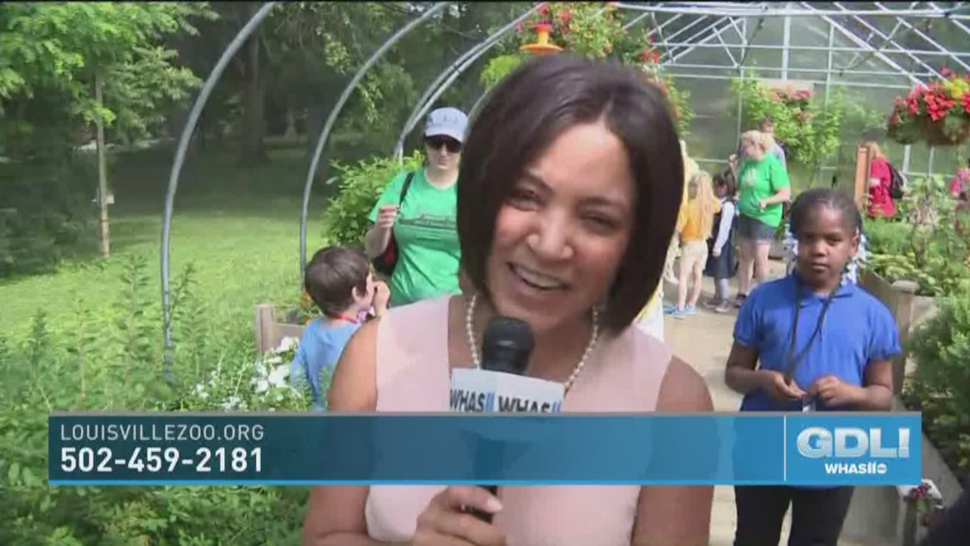 Angie Fenton is inside the Louisville Zoo's latest outdoor exhibit, Butterflies 'n' Blooms.