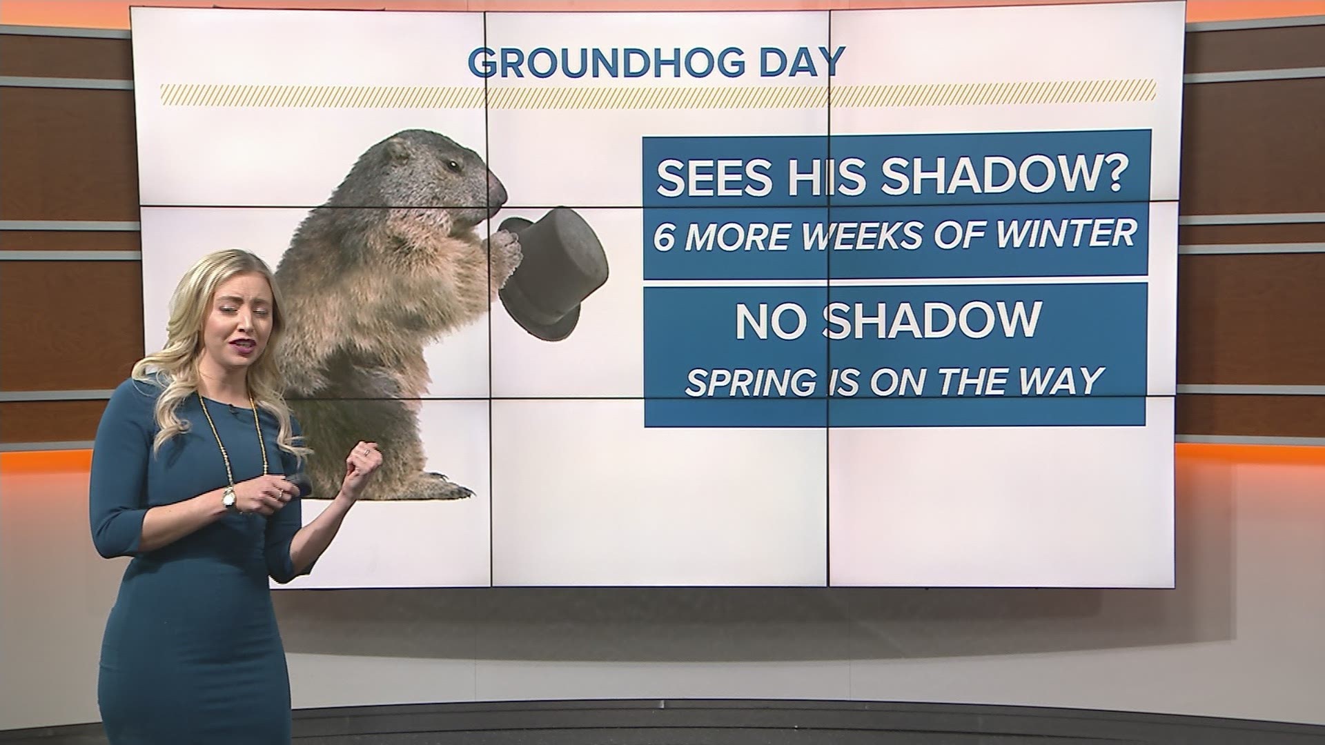 Kaitlynn Fish Explains Groundhog Day Whas11