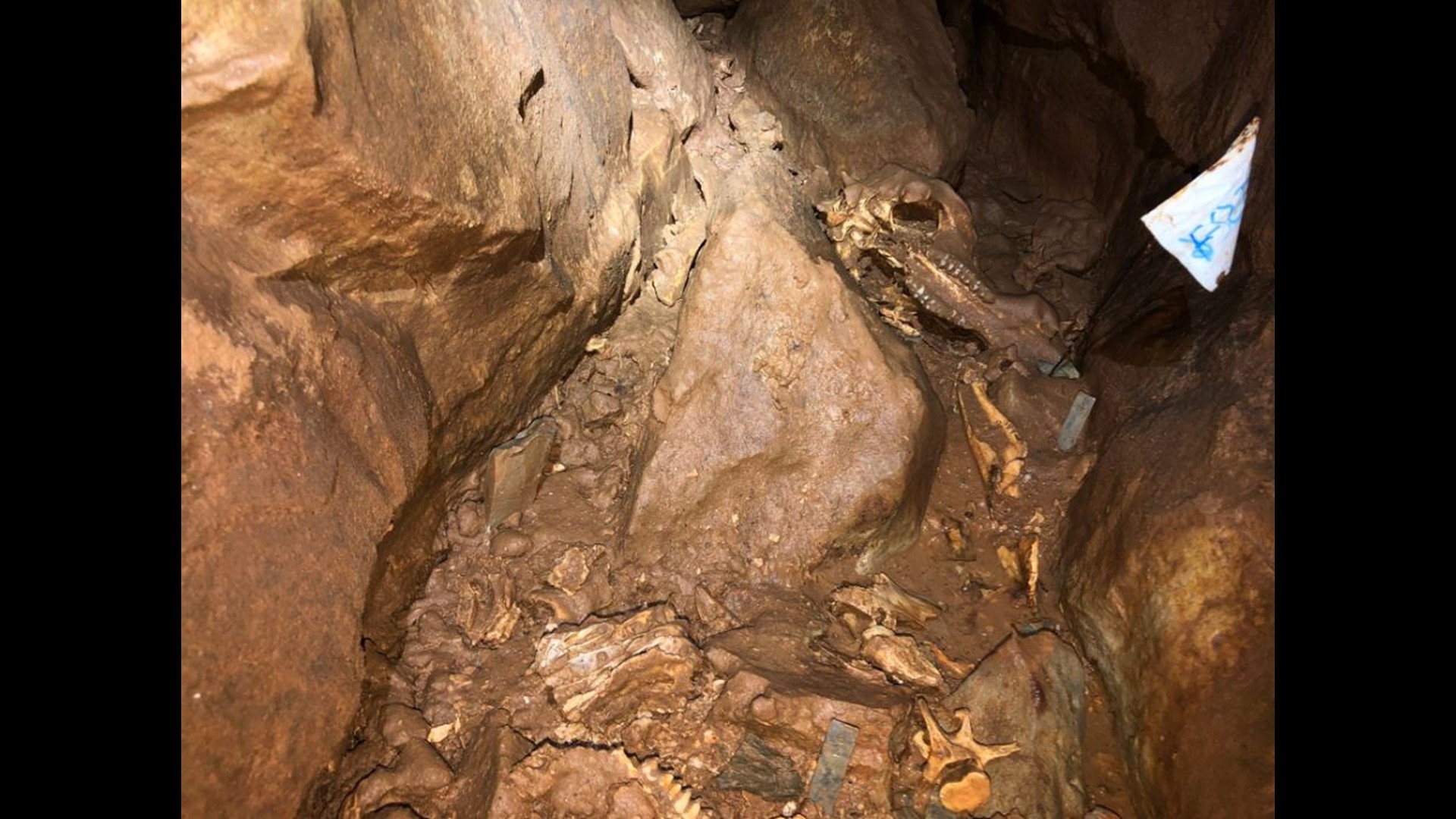 Paleontologists digging into the past at Indiana Caverns