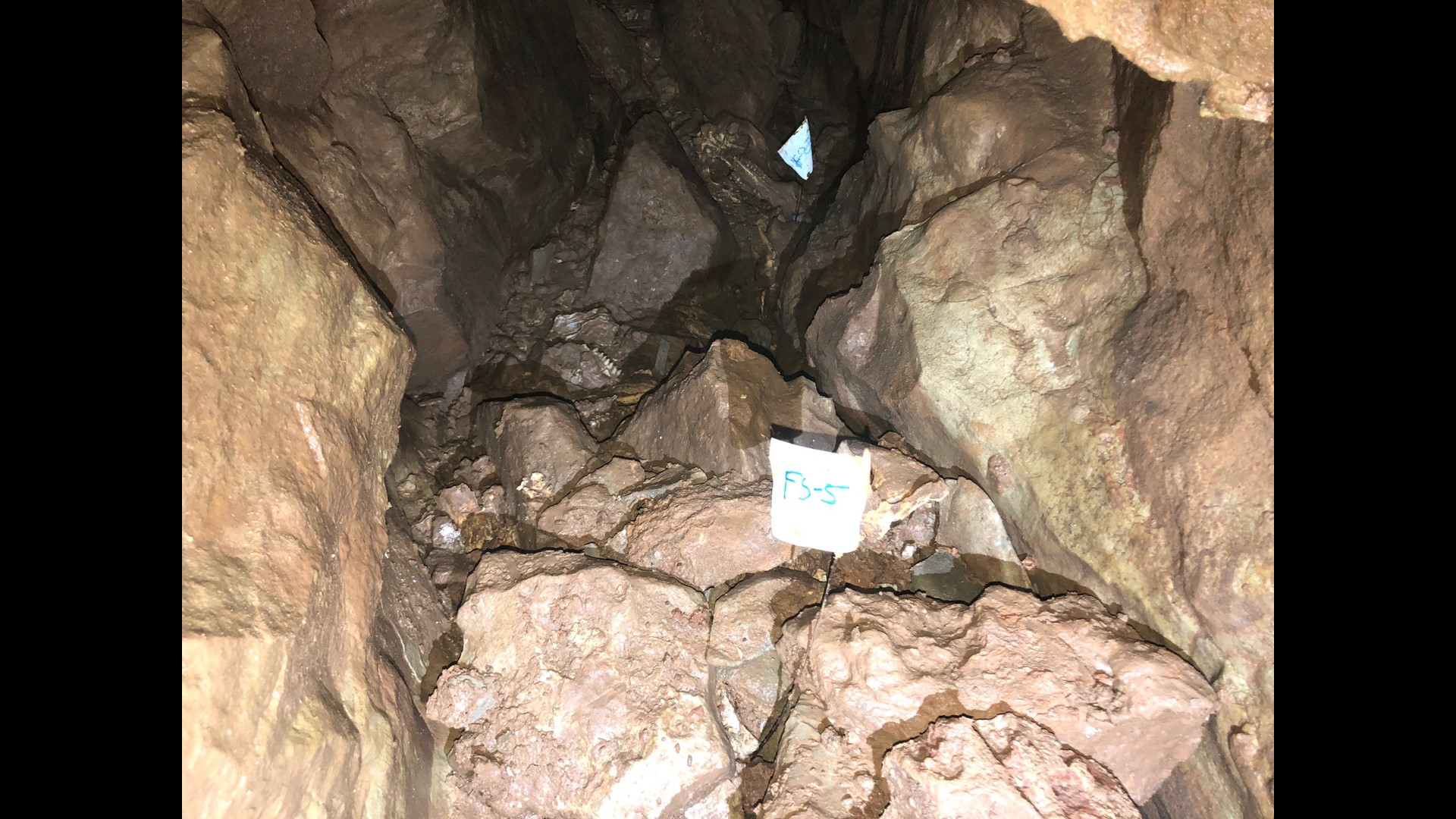 Paleontologists digging into the past at Indiana Caverns