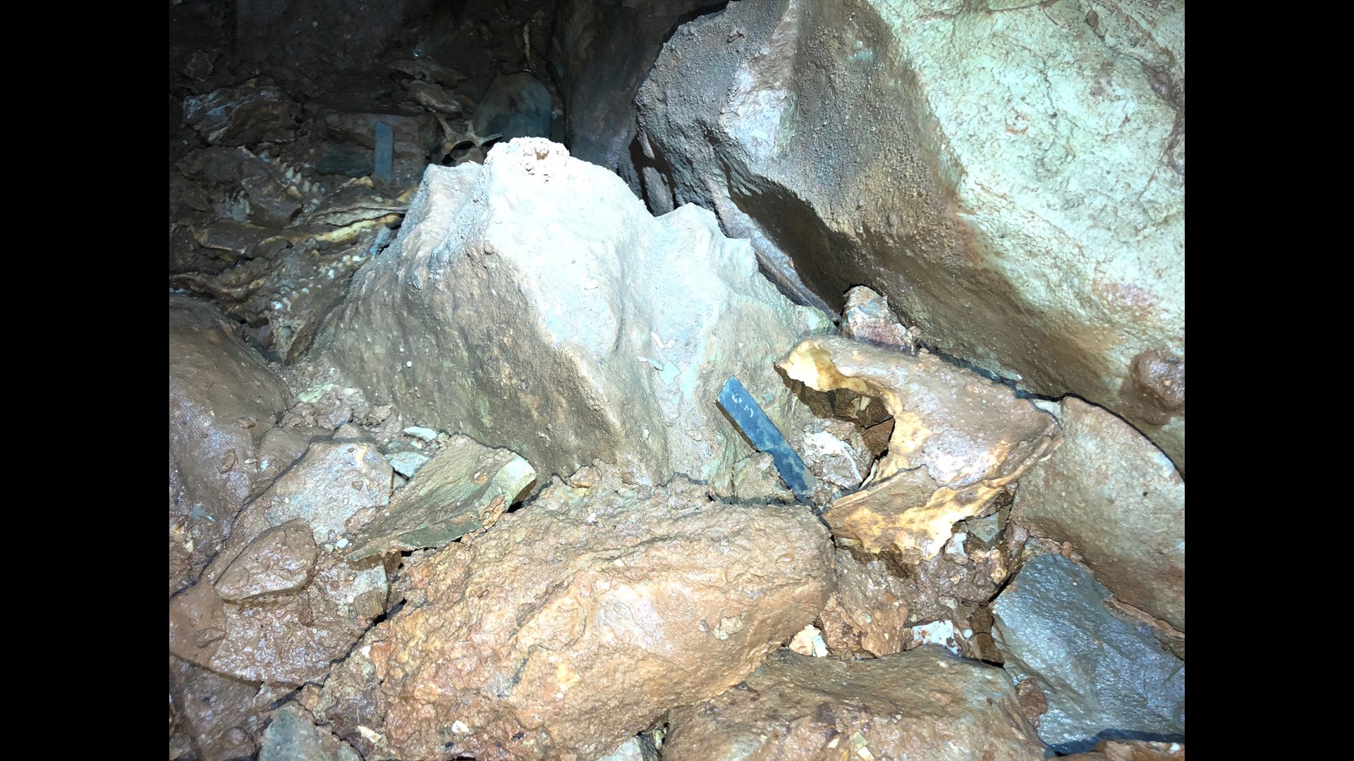 Paleontologists digging into the past at Indiana Caverns