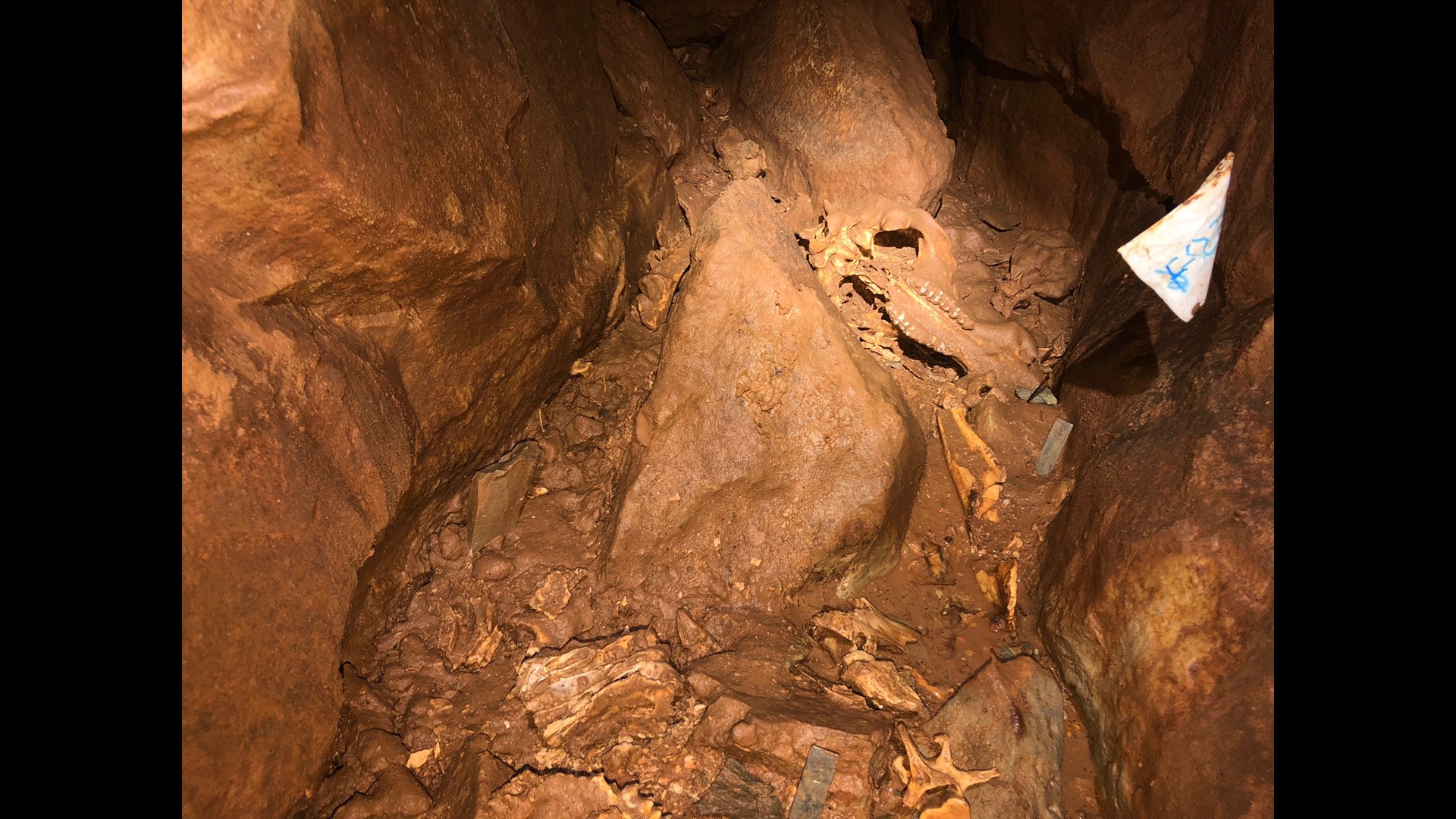 Paleontologists digging into the past at Indiana Caverns