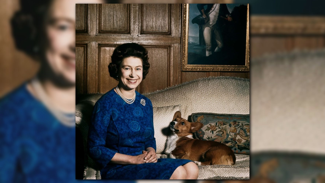 Queen Elizabeth mourns death of her last Willow(02)