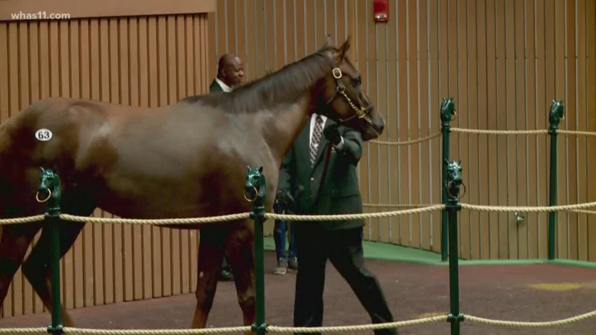 Two-year olds in training, as well as horses of racing age were on the auction block.