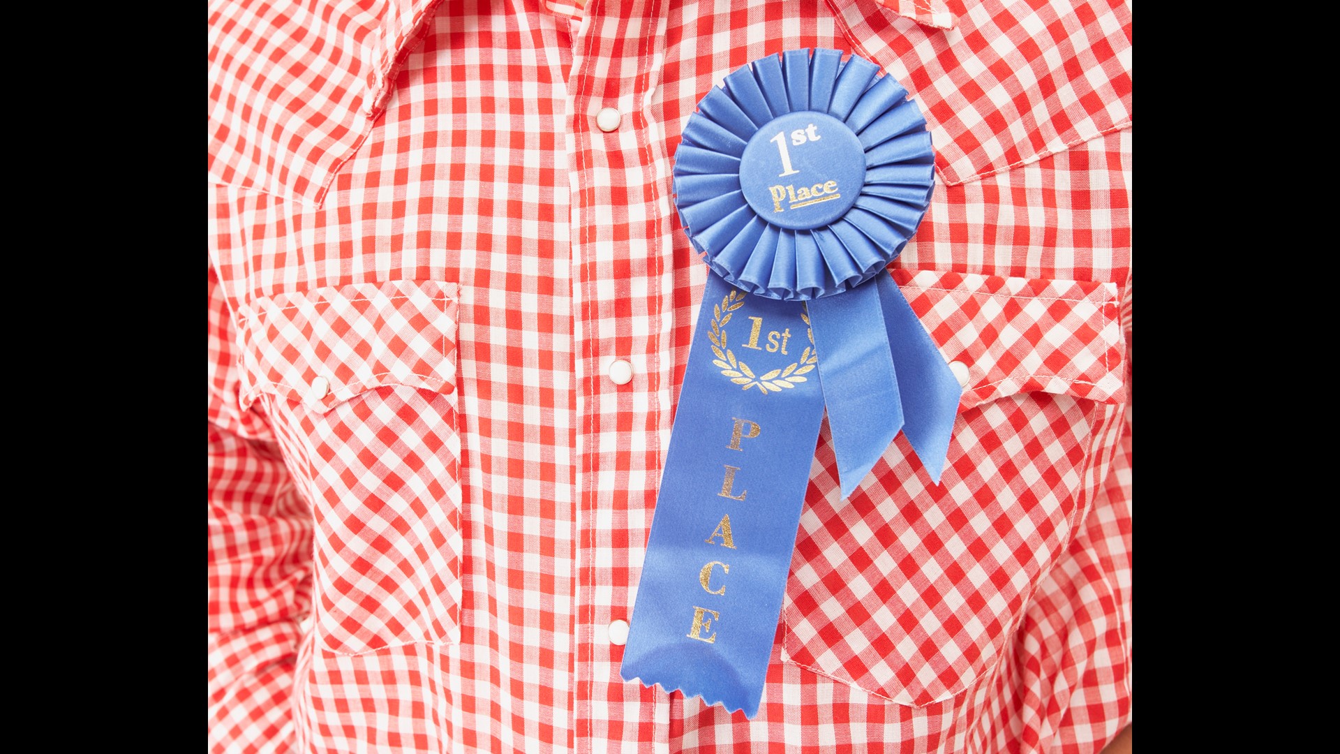 Kentucky State Fair looking for entries in 31 categories