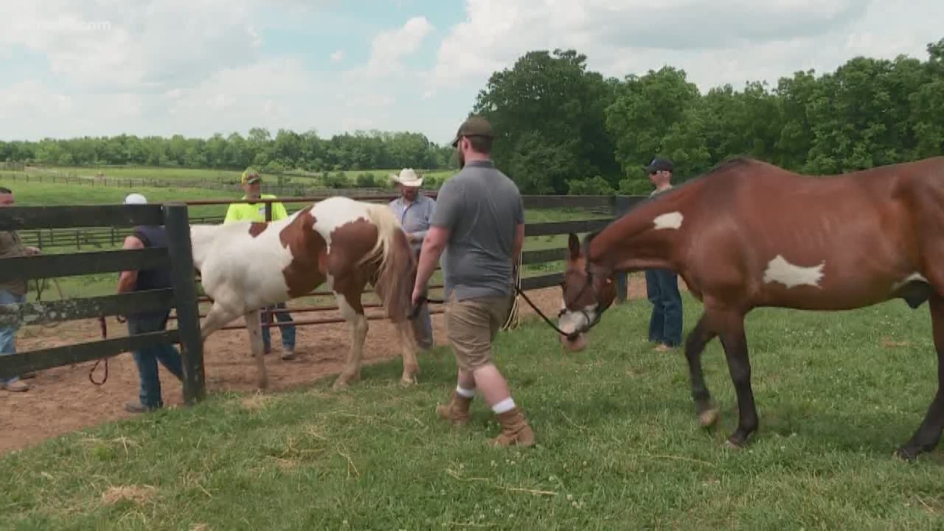 Memorial Day can be tough.  For veterans who came home from war but lost their comrades, the day can be a painful reminder. One club in Shelbyville is offering relief with the help of horses.