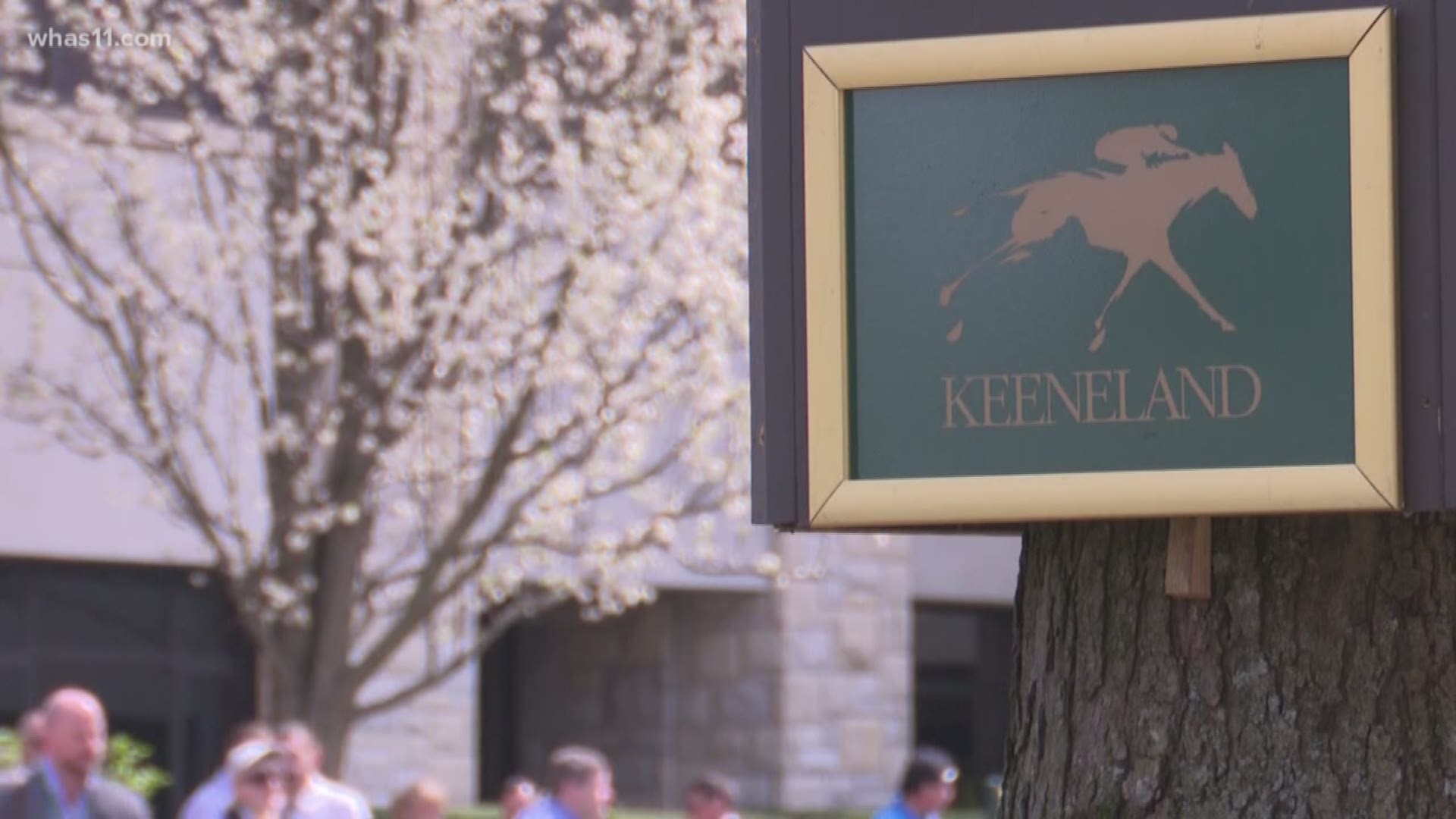 As thousands of visitors celebrate Keeneland opening day, there are serious concerns about safety following the deaths of 23 horses at Santa Anita racetrack in California.