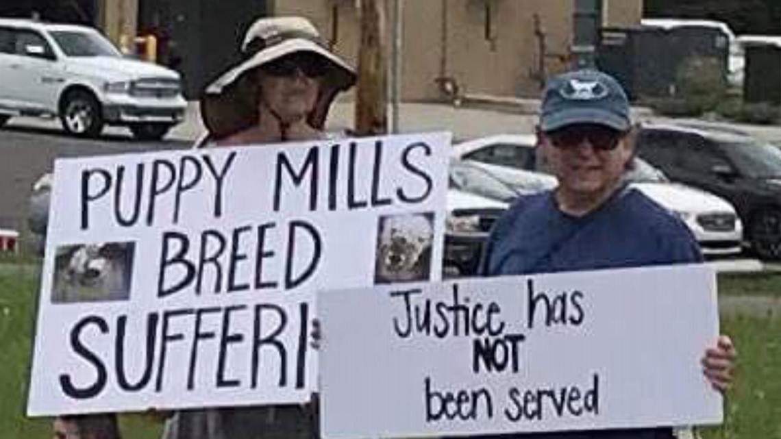 Community Demanding Justice After Taylor Co Animal Abuse Case Dismissed Whas11 Com