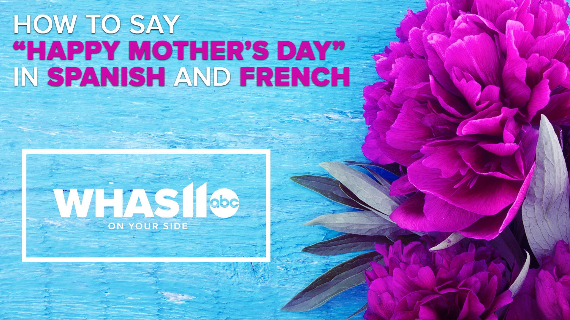How To Say Happy Mother S Day In Spanish And French Whas11 Com