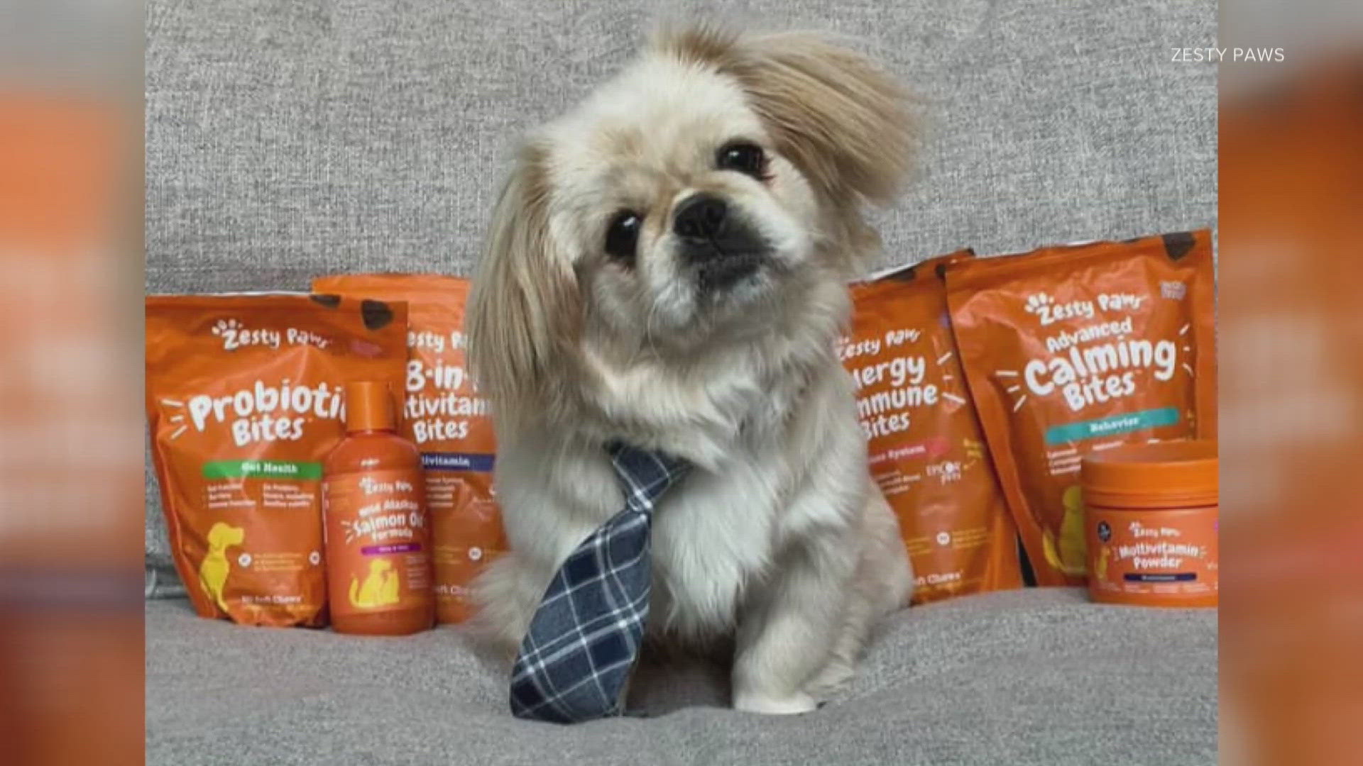 The 8-month-old Lexington pup was given the honor by Zesty Paws.