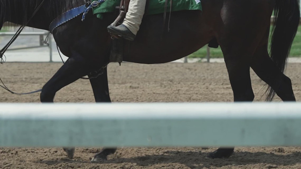 Closer look at investigation of horse deaths at Churchill Downs