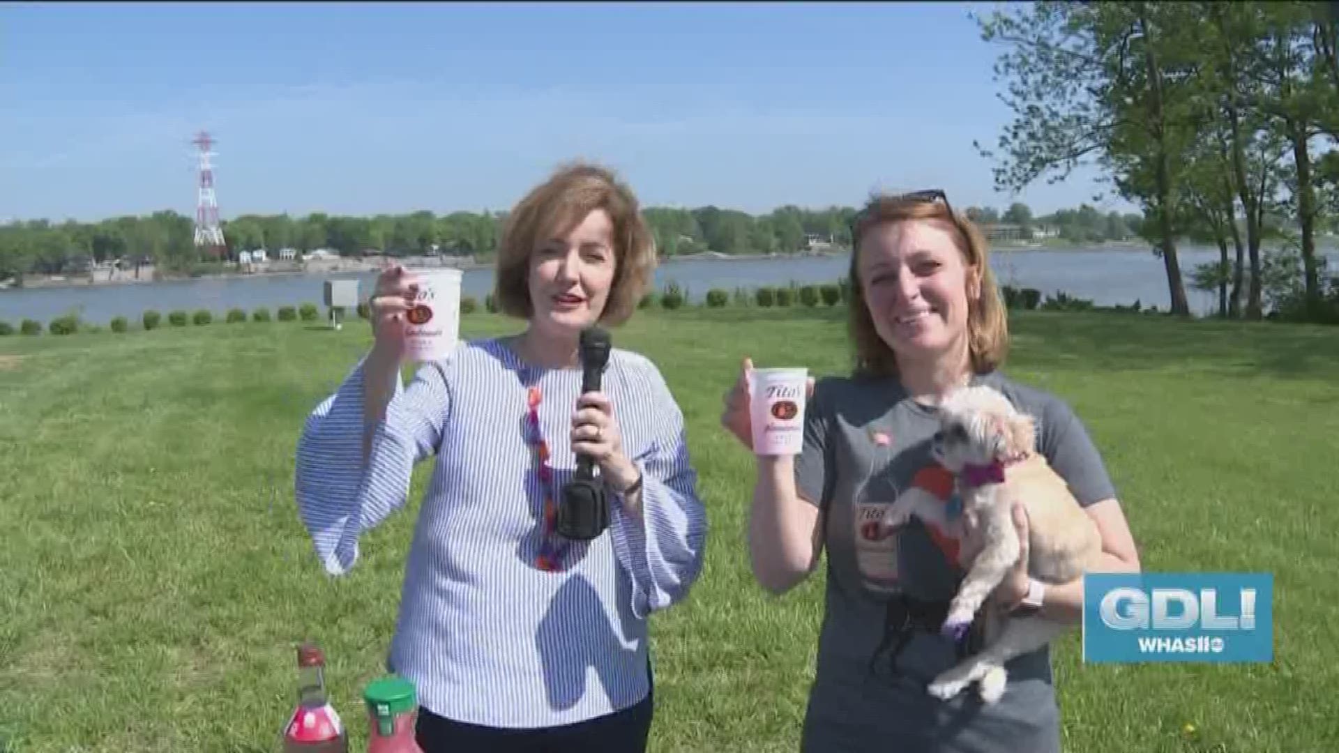 Kentucky Humane Society hosts the annual Waggin' Trail Walk & Festival for the Animals at Louisville Water Tower Park on June 10, 2018.