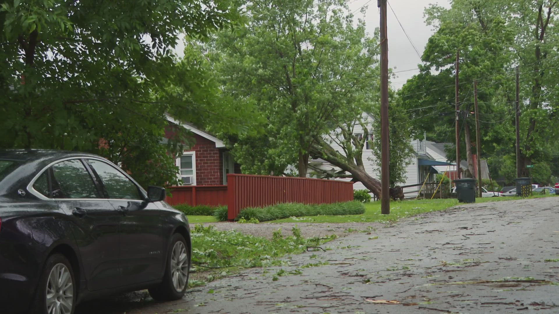 At least one person was killed by a falling tree in east Louisville.