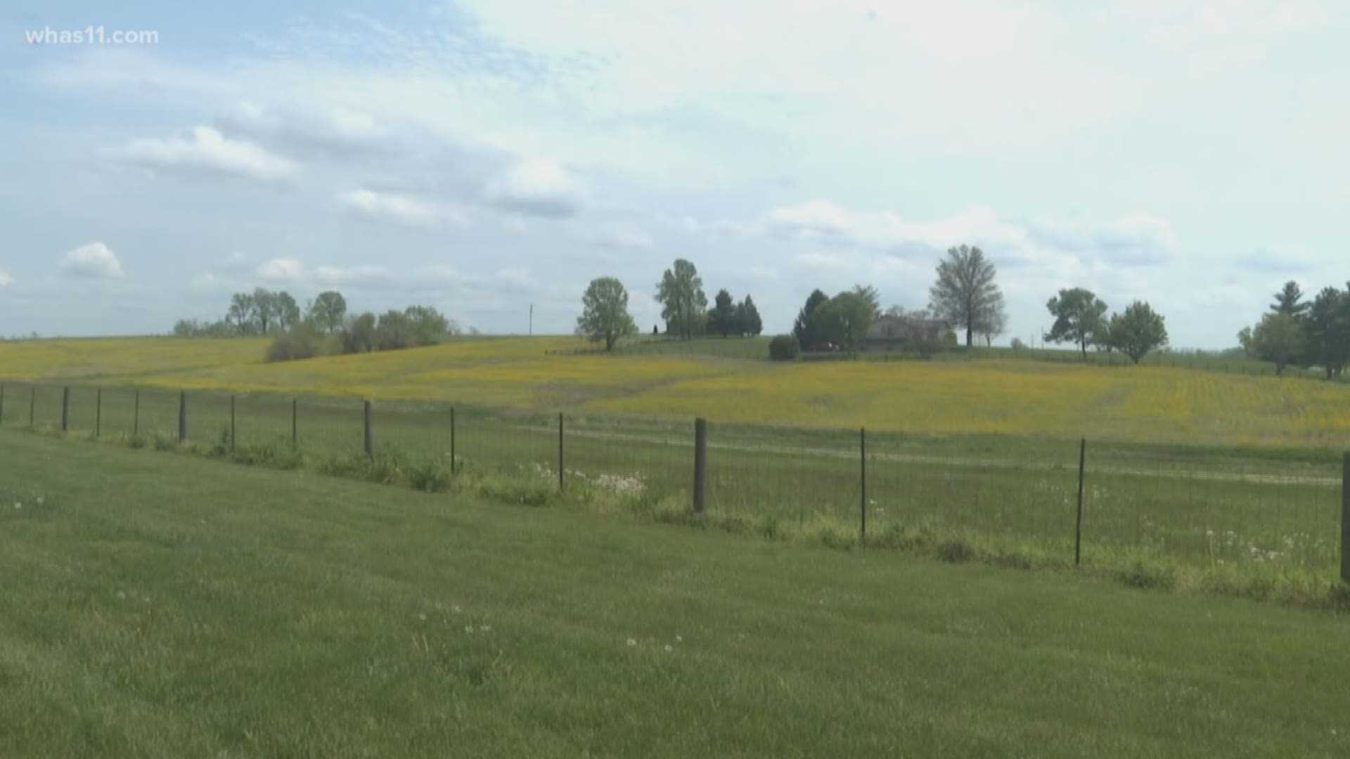 Concerned homeowners shut down a proposal for a waste farm on Monday night. A vote of 4 to 1 rejected R&R Septic and Excavation, LLC's proposal to operate landfarming on Highway 421 in Henry County.