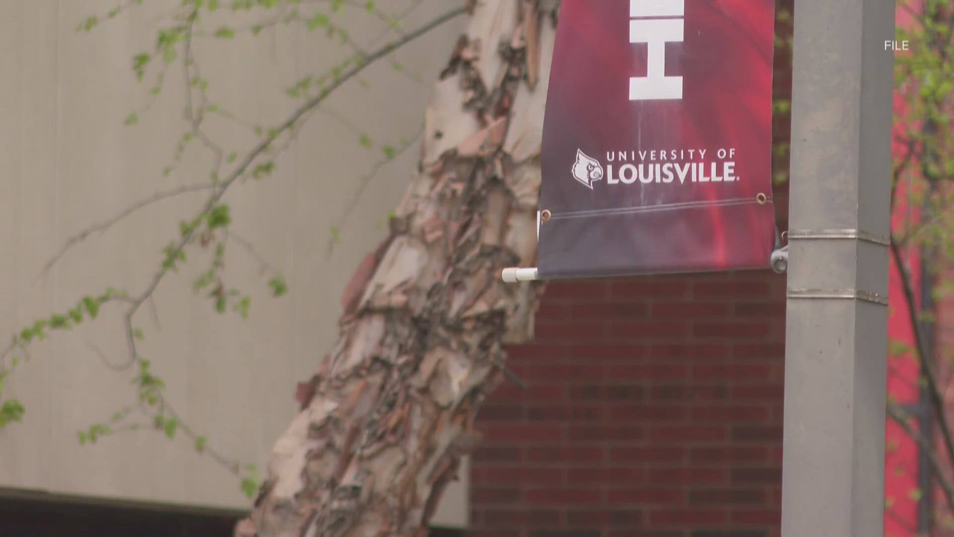 Sadiqa Reynolds argued the university should strive for minimal compliance.